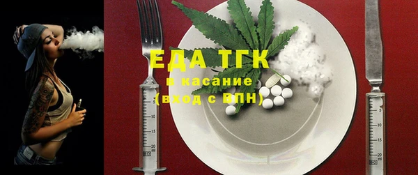 шишки Абаза