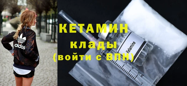 шишки Абаза