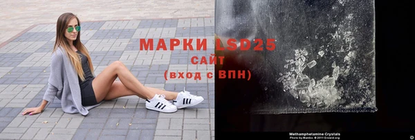 шишки Абаза