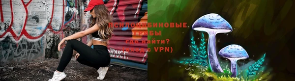 шишки Абаза