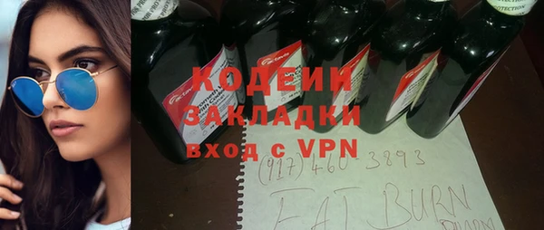 шишки Абаза