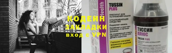 шишки Абаза