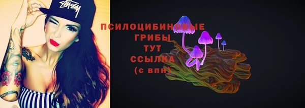 шишки Абаза