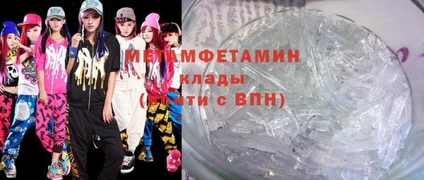 шишки Абаза
