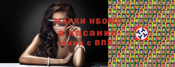 хмурый Алексин
