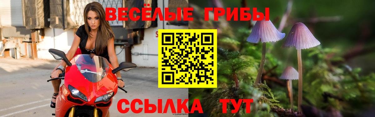 Псилоцибиновые грибы прущие грибы Екатеринбург